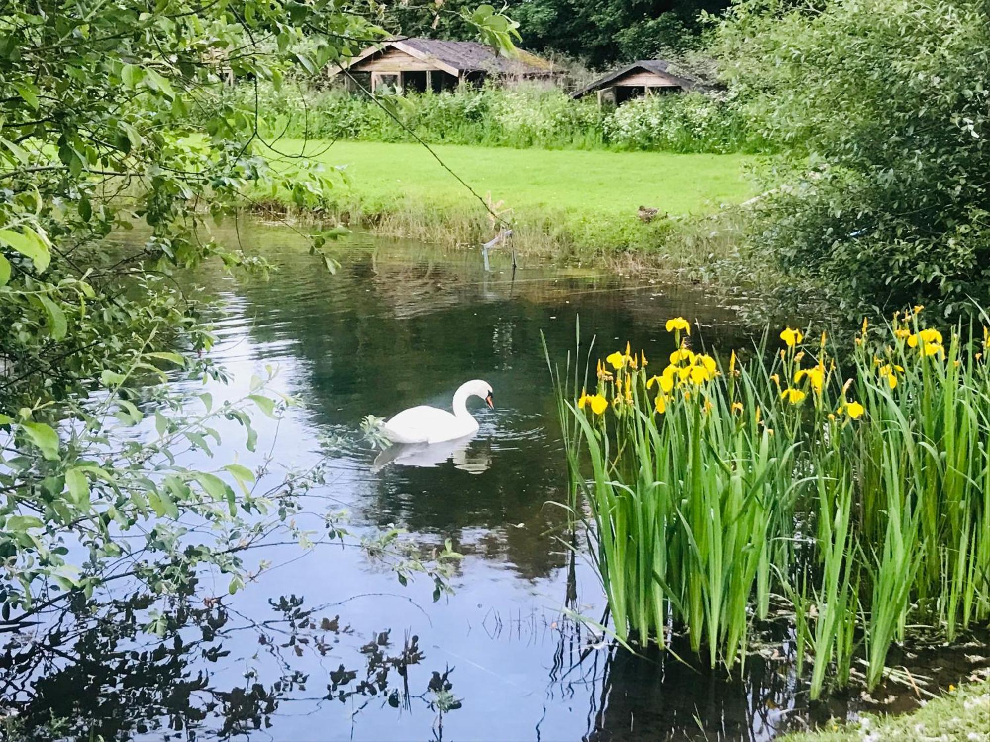 Bransford Farm Fishery & B & B Luaran gambar