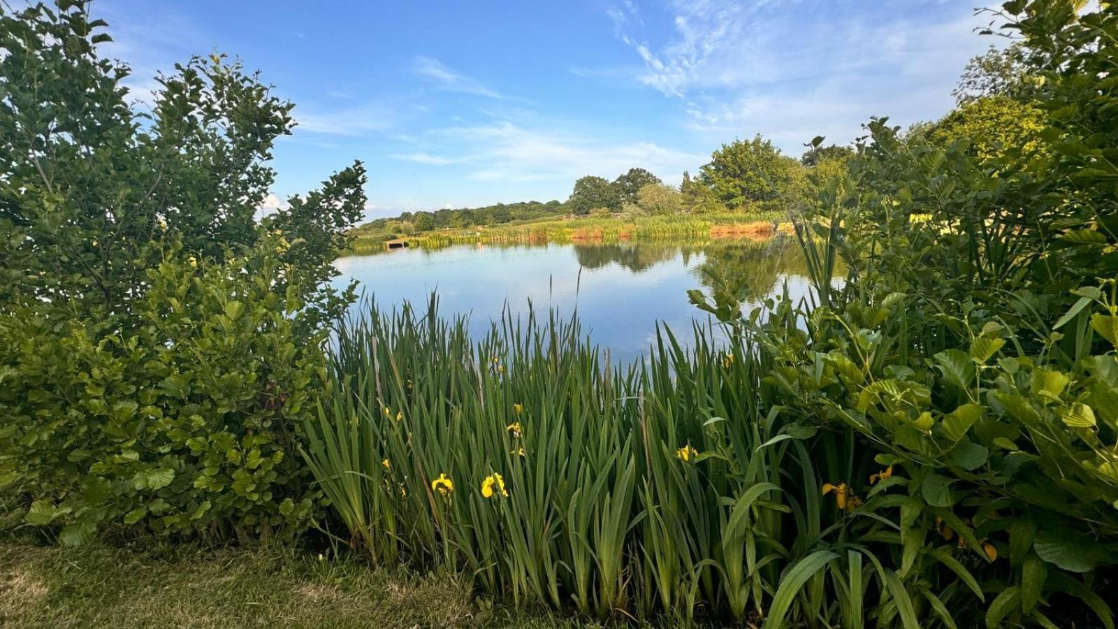 Bransford Farm Fishery & B & B Luaran gambar